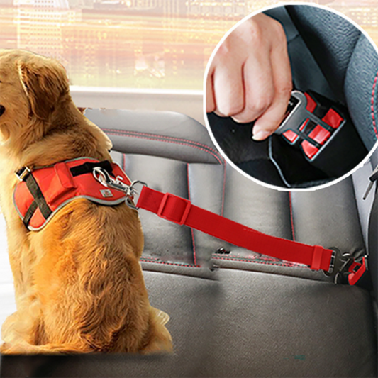 Car Safety Belt